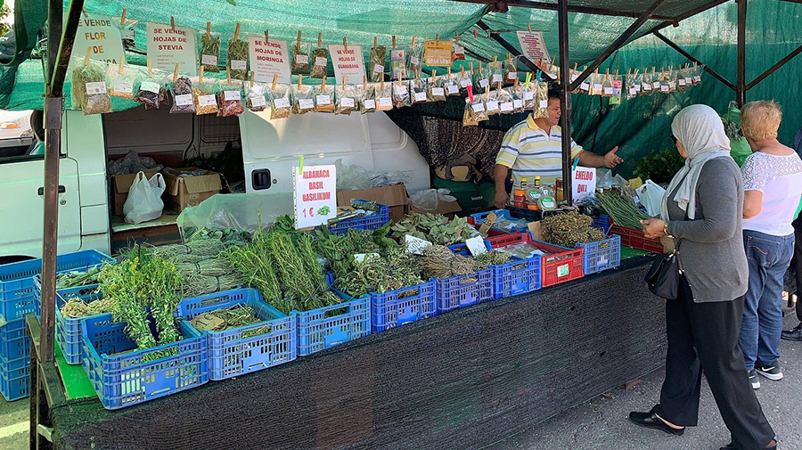 Vecindario straatmarkt