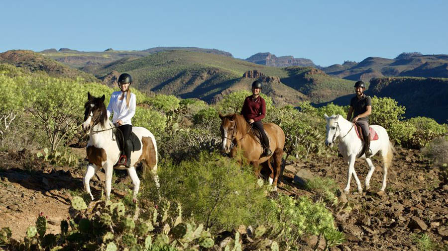 El Salobre Horse Riding Adventure