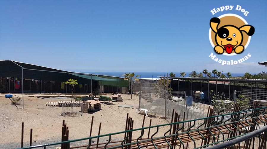 Happy Dog - Maspalomas