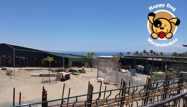 Happy Dog - Maspalomas