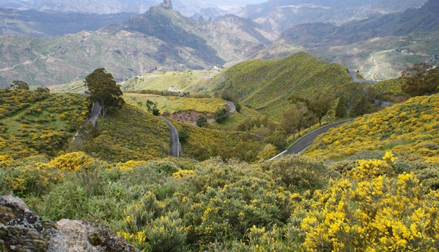 Gran Canaria voor beginners – De TOP 10 die je moet gezien hebben. Maar niet alleen voor beginners