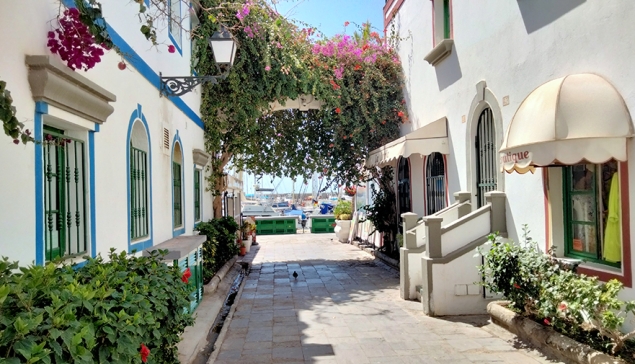 Social Mogan Meetup #3 – Let’s Do It Again!