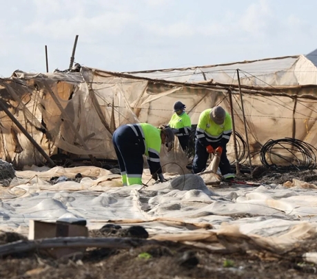 Het zuidoosten van Gran Canaria ruimt 75 hectare aan kassen op in de drie gemeenten