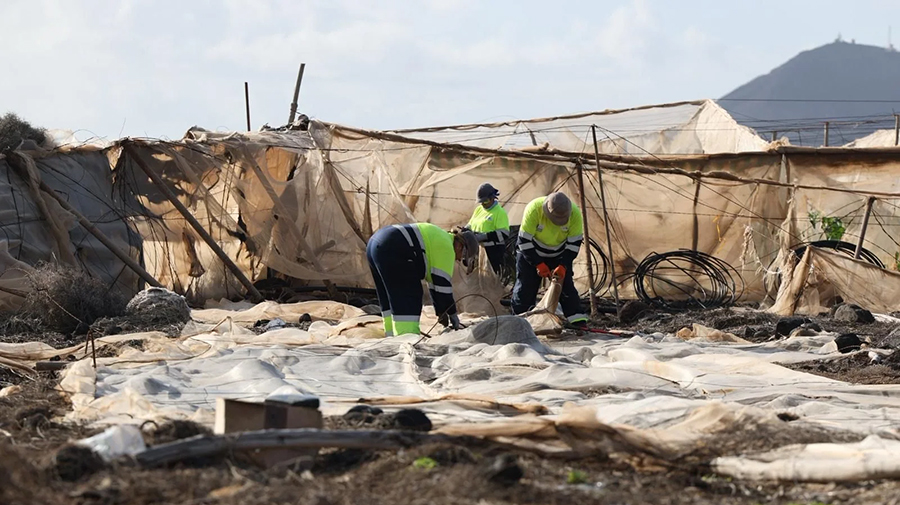 De Cabildo trekt 1,5 miljoen euro uit voor het schoonmaken van de omgeving van de luchthaven van Gran Canaria