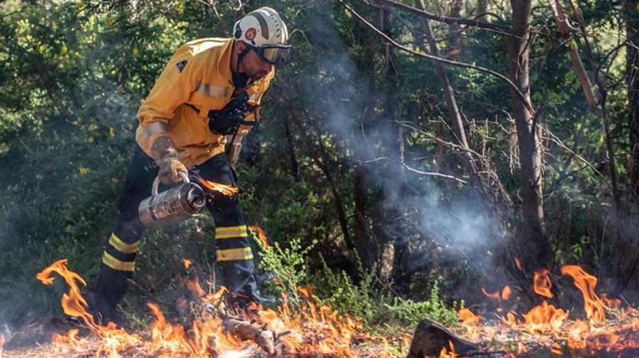 Acuut bosbrandgevaar op Gran Canaria: Strenge verboden vanaf vandaag ter bescherming van de natuur