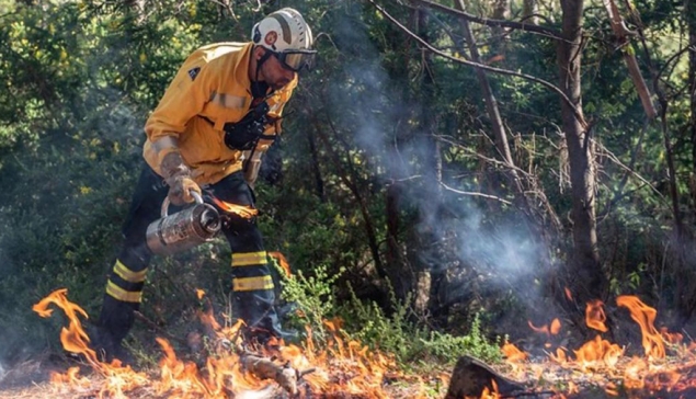 Acuut bosbrandgevaar op Gran Canaria: Strenge verboden vanaf vandaag ter bescherming van de natuur