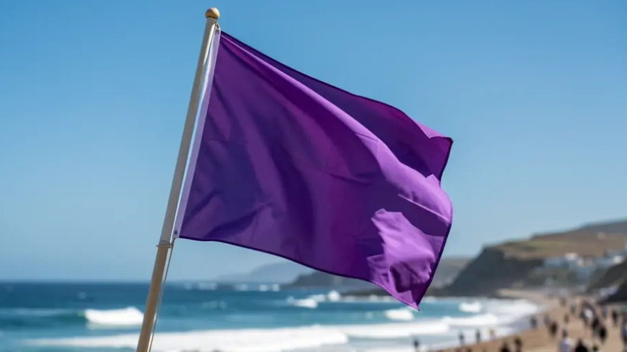 De paarse vlag op stranden: wat betekent die en waarom je voorzichtig moet zijn