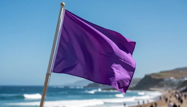 De paarse vlag op stranden: wat betekent die en waarom je voorzichtig moet zijn
